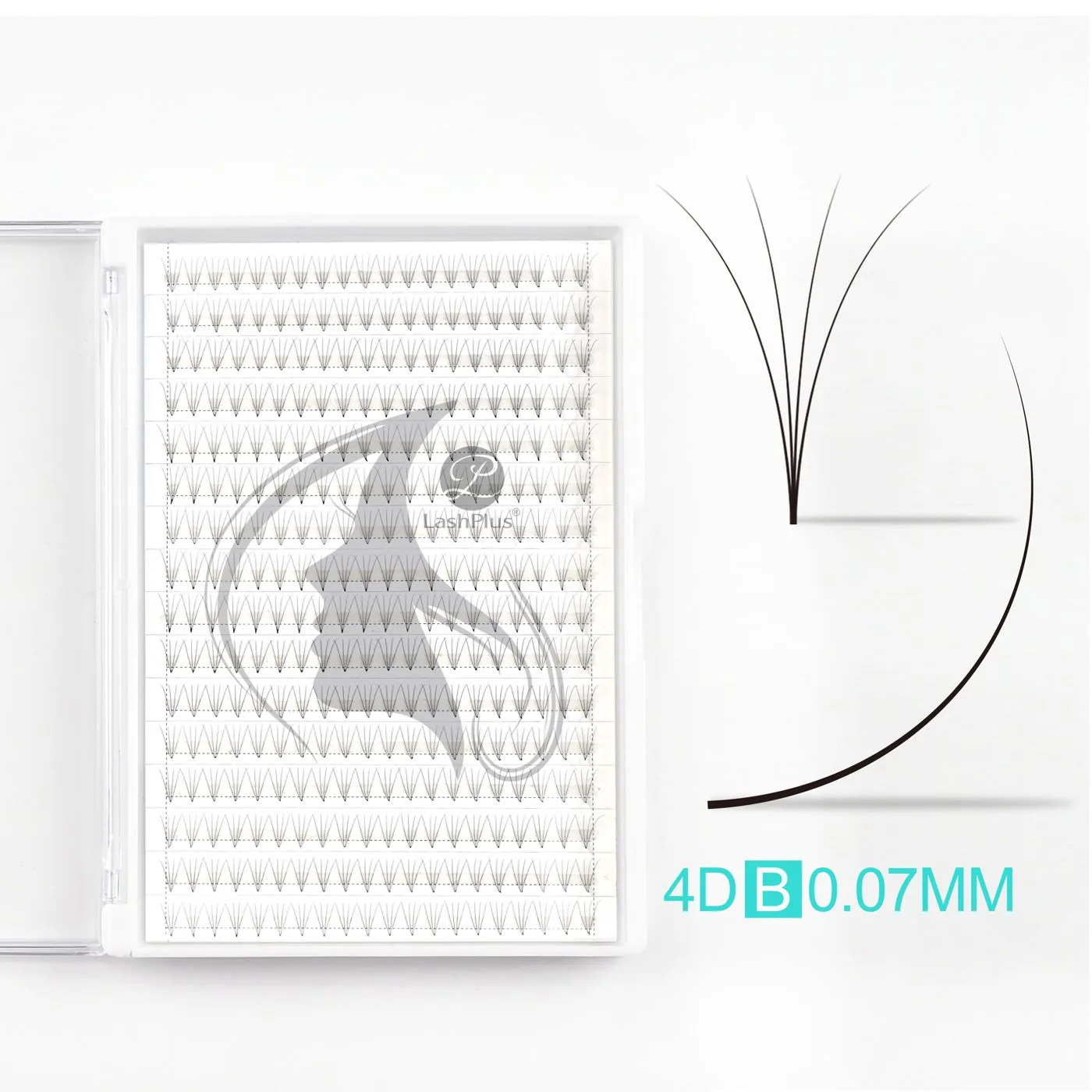 4D premade fans large tray, 0.07mm B curl, mid tape, 16 lines of 20 fans (320 per tray) — LashPlus factory (Qingdao, China)